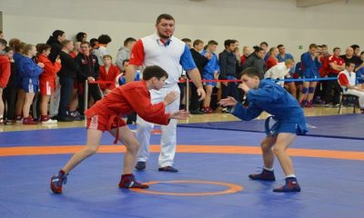 В Коми «Единая Россия» организовала чемпионат по спортивному и боевому самбо